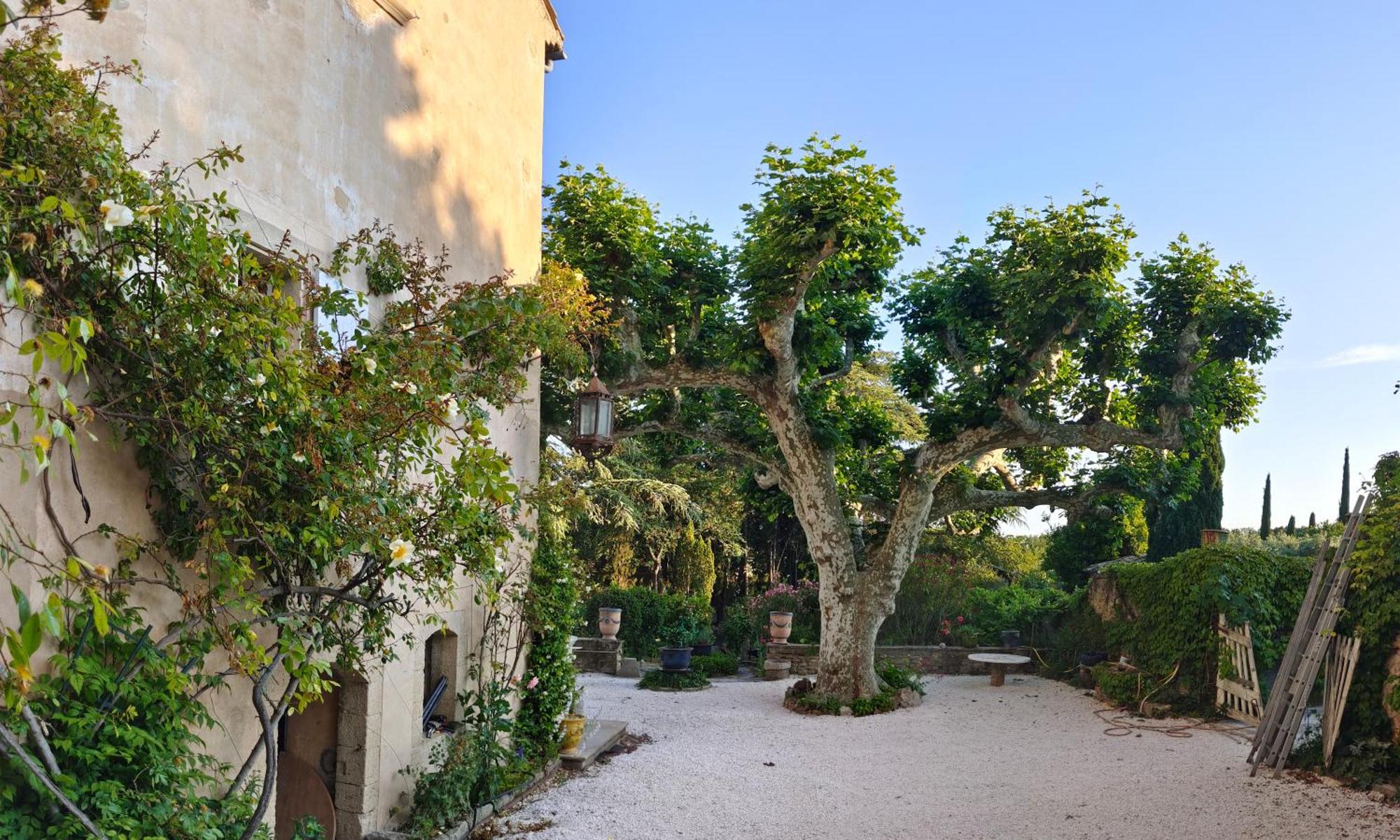 Rue Du Chateau A Cabrieres D'Avignon Panzió Kültér fotó